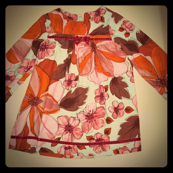 Baby Nay Other - Baby nay 4T corduroy floral dress